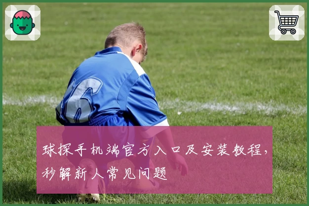 球探手机端官方入口及安装教程，秒解新人常见问题