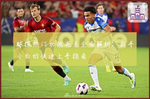 球探热门功能亮点全面解析：新手小白的快速上手指南