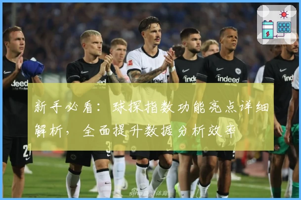 新手必看：球探指数功能亮点详细解析，全面提升数据分析效率