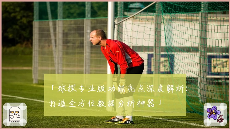 「球探专业版功能亮点深度解析:打造全方位数据分析神器」