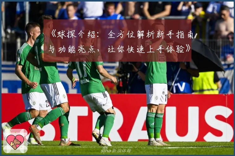《球探介绍：全方位解析新手指南与功能亮点，让你快速上手体验》