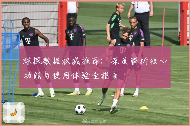 球探数据权威推荐：深度解析核心功能与使用体验全指南