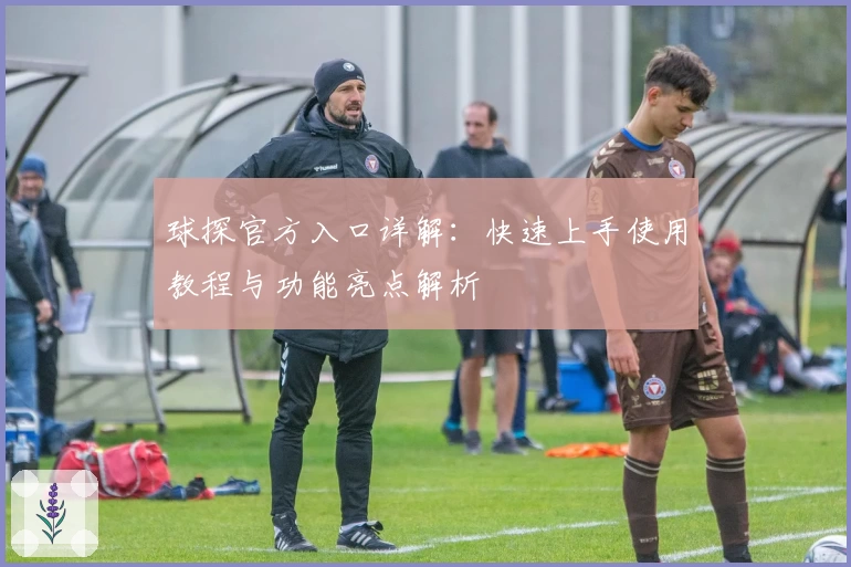 球探官方入口详解：快速上手使用教程与功能亮点解析