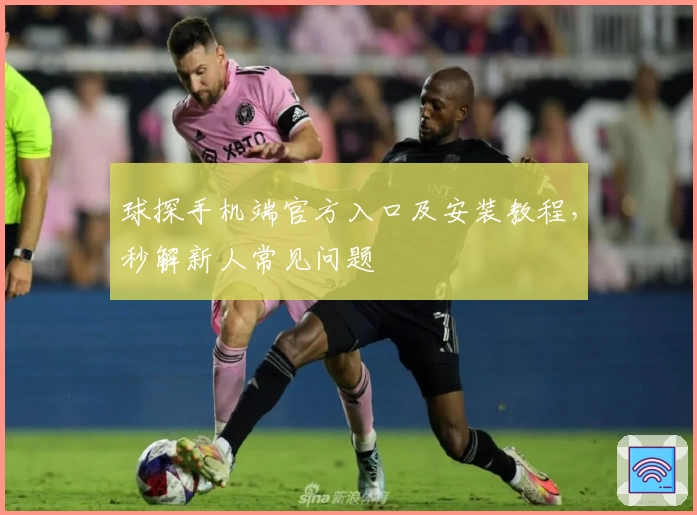 球探手机端官方入口及安装教程，秒解新人常见问题