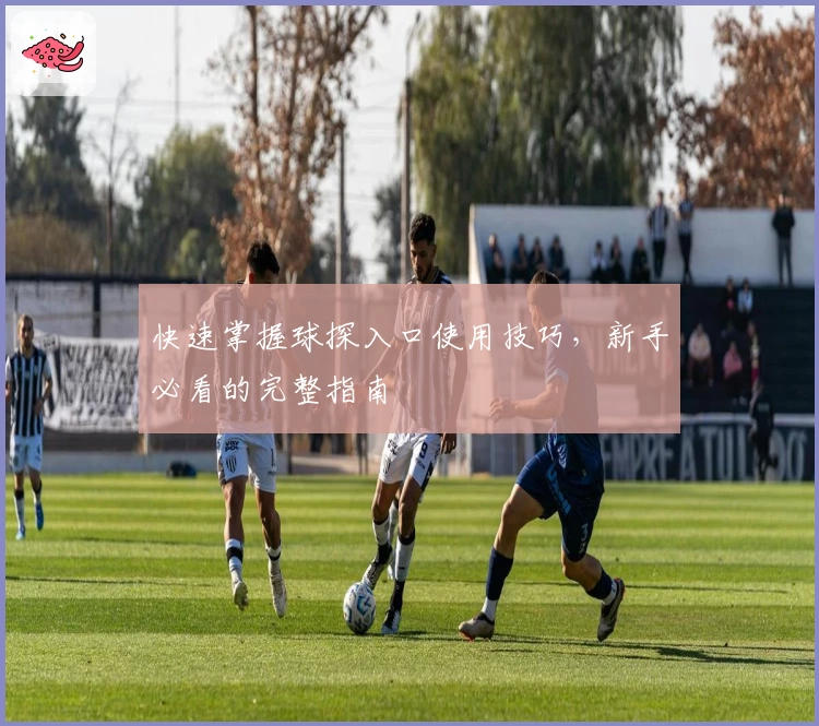 快速掌握球探入口使用技巧，新手必看的完整指南