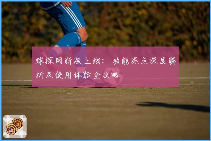 球探网新版上线：功能亮点深度解析及使用体验全攻略