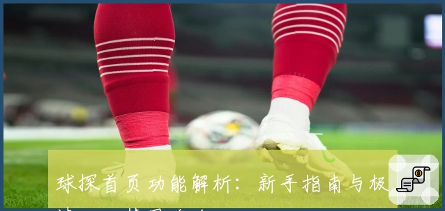 球探首页功能解析：新手指南与极速入口使用攻略