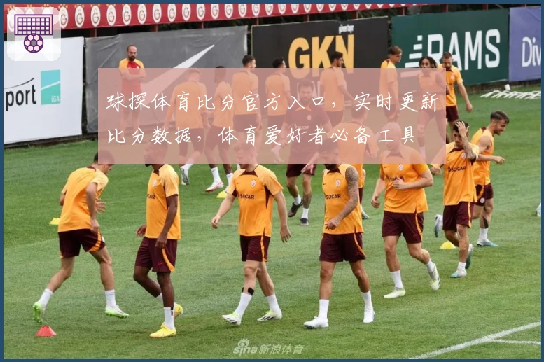 球探体育比分官方入口，实时更新比分数据，体育爱好者必备工具