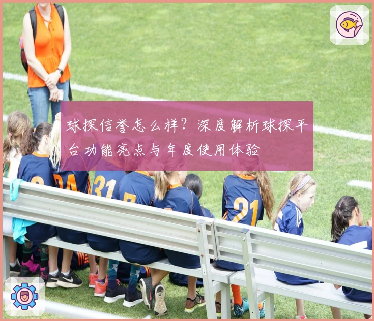 球探信誉怎么样？深度解析球探平台功能亮点与年度使用体验